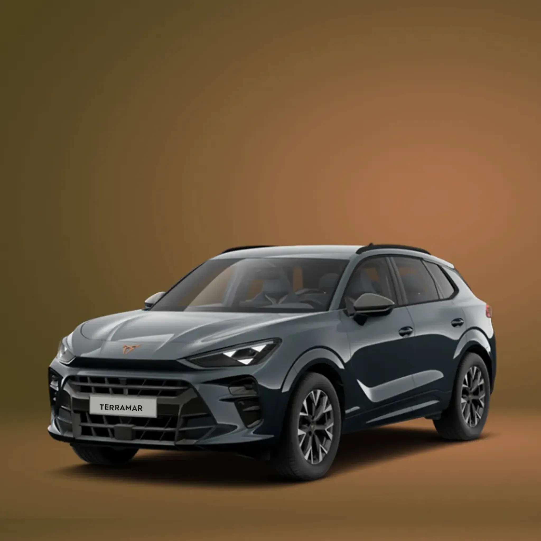 Cupra Terramar-1000x1000px.jpg