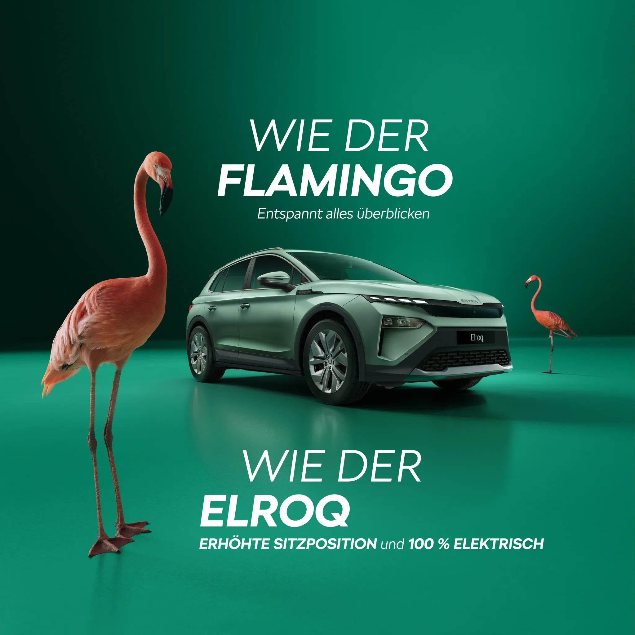 Elroq ohne Kraftstoff.jpg