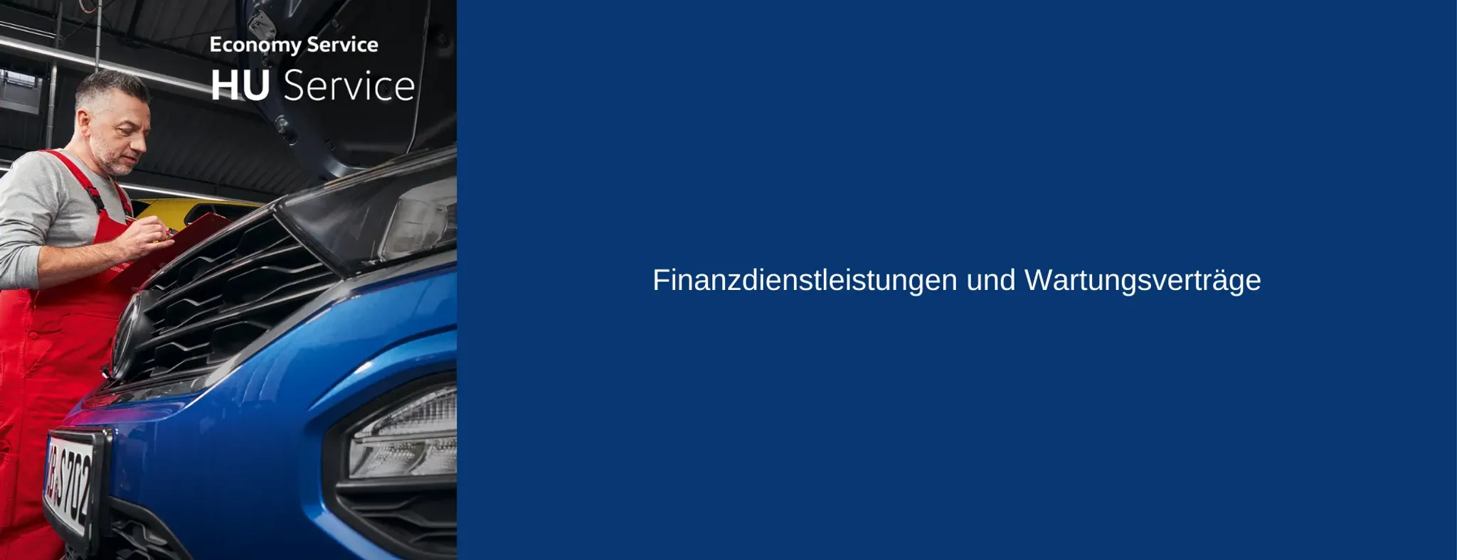 Finanzdienstleistungen und Wartungsverträge (1).png