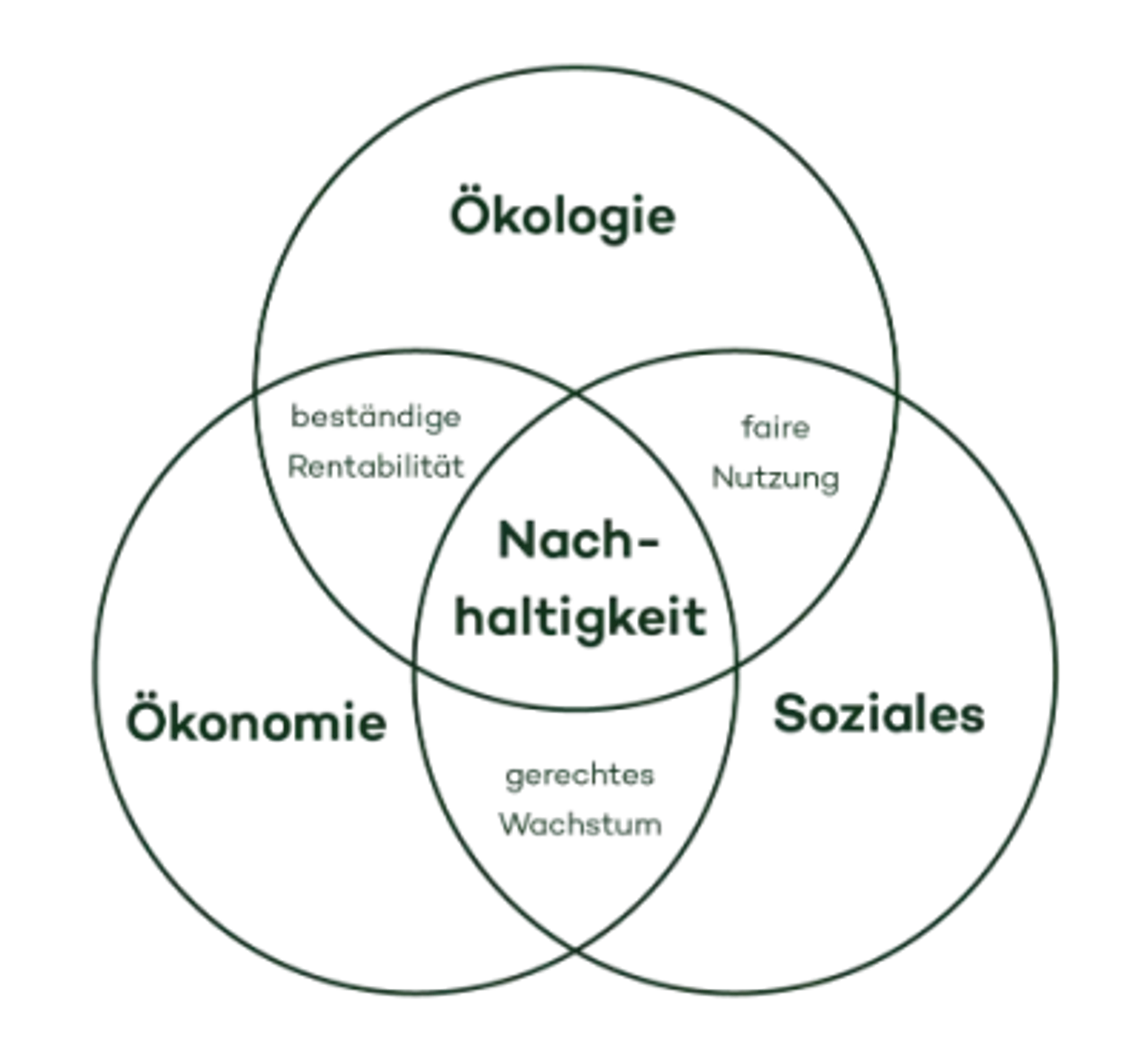 Schnittmengendiagramm