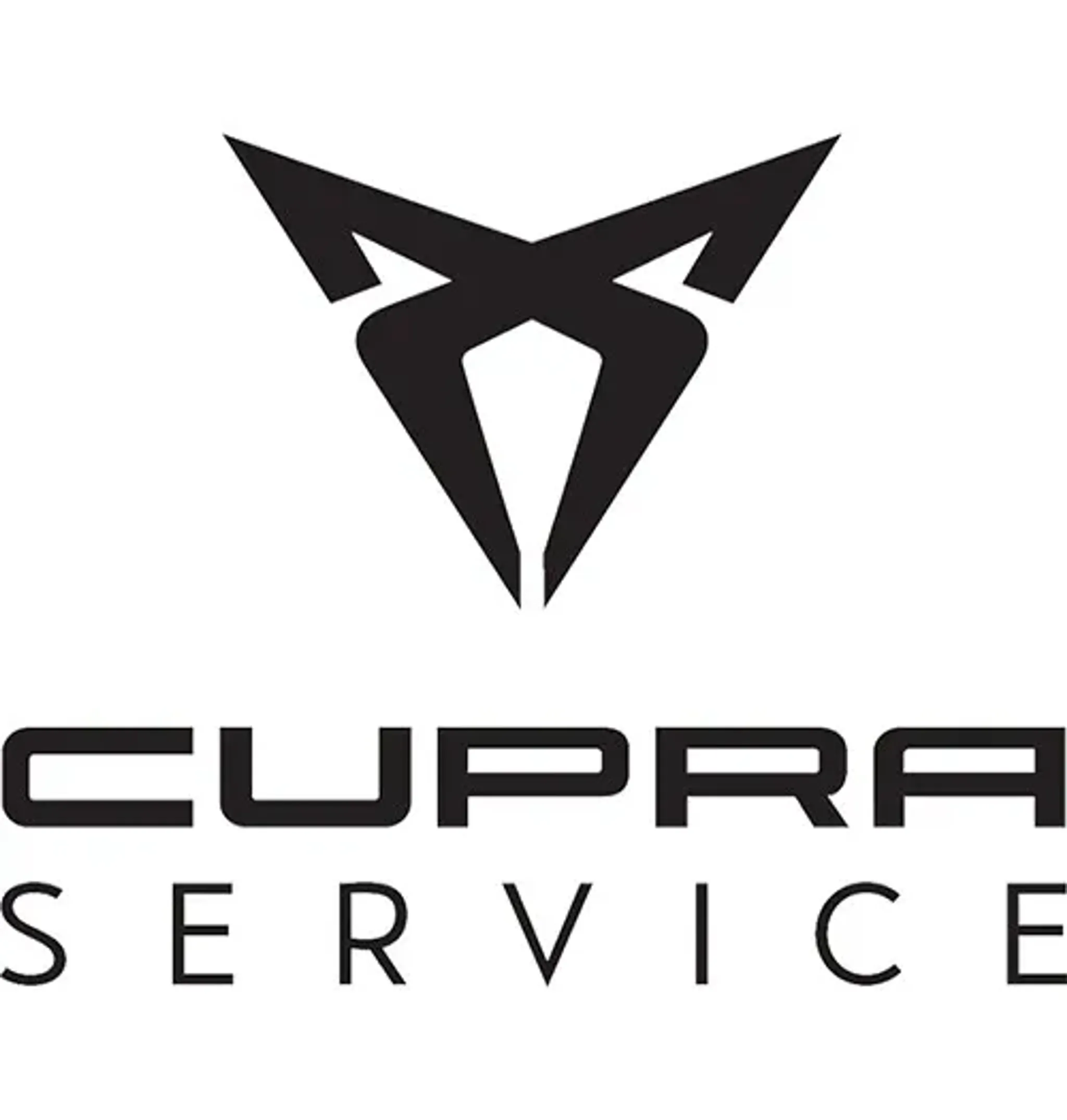 Cupra Service in Dietersheim