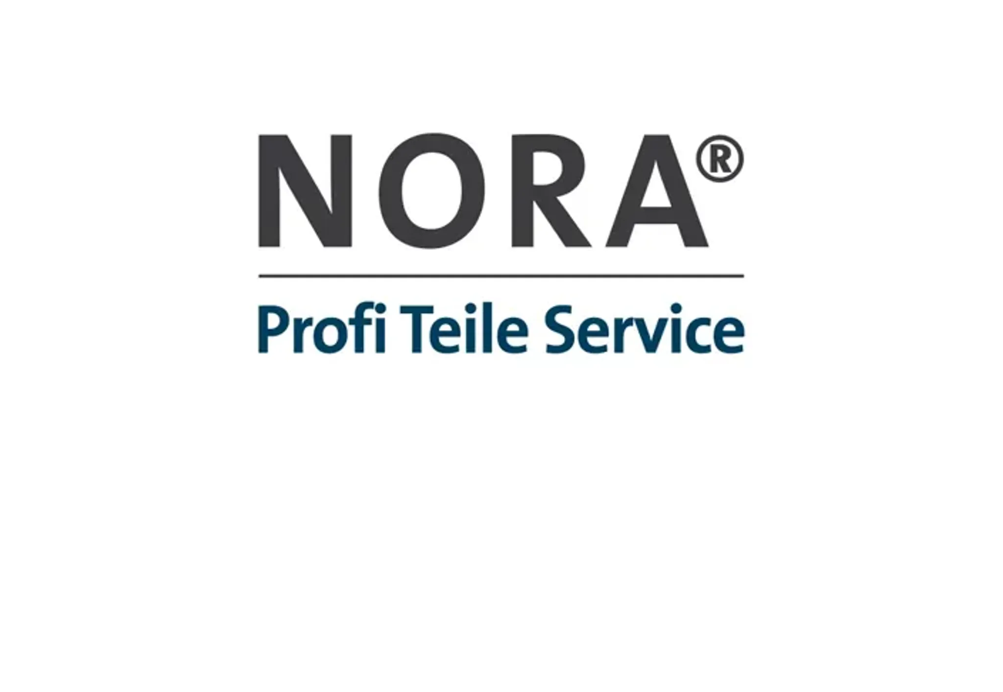 NORA LOGO_.png