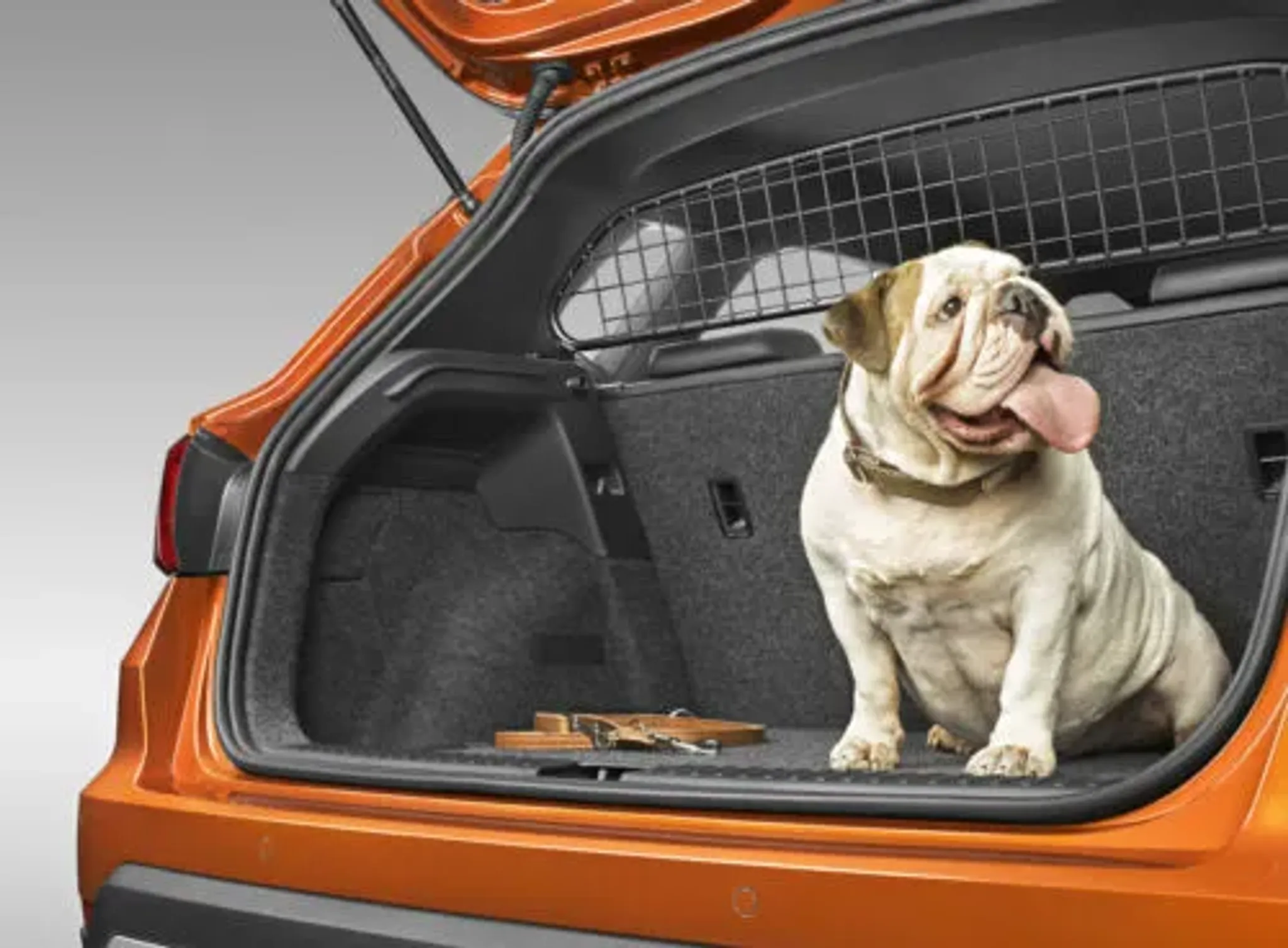 Trenngitter für den SEAT Arona, für z.B. Hunde