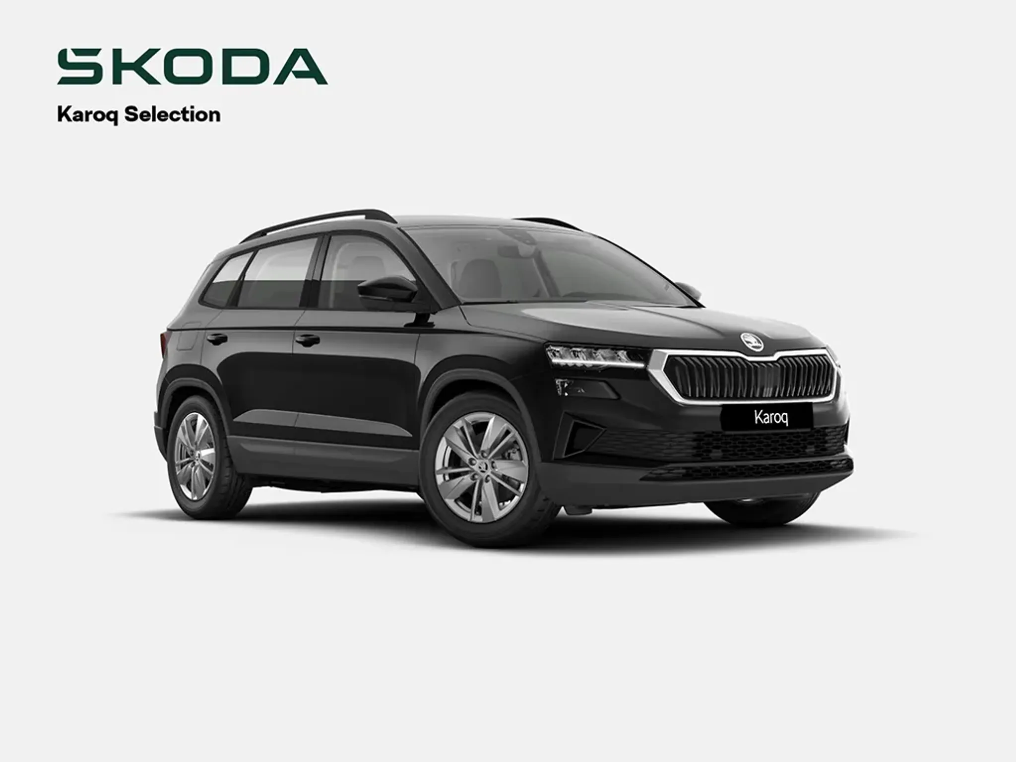 Skoda Karoq ohne Kraftstoff.jpg