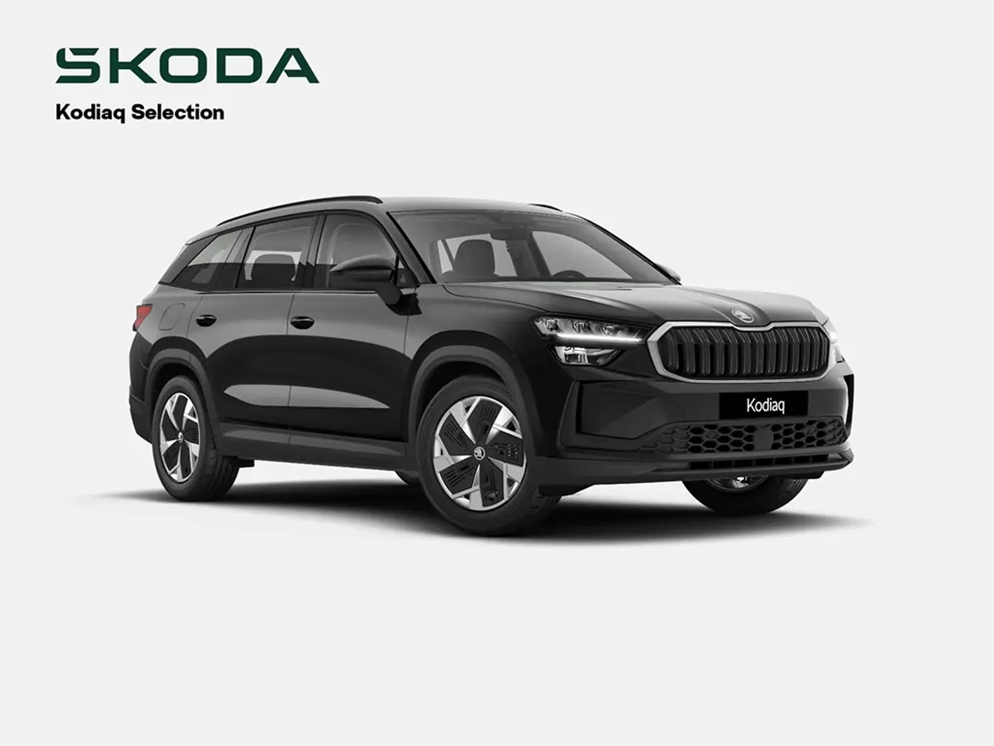 Skoda Kodiaq Selection TDI ohne Kraftstoff.jpg