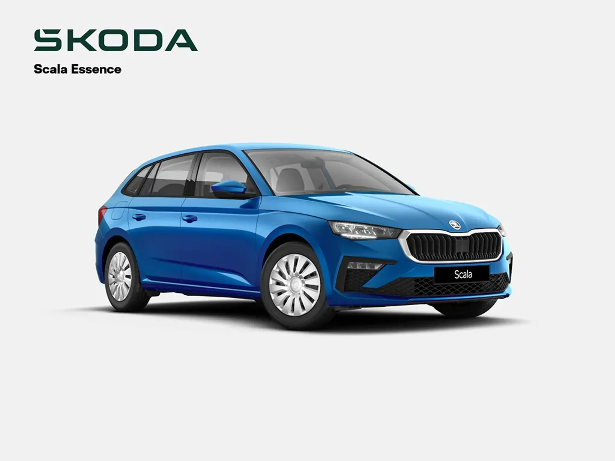 Skoda Scala ohne Kraftstoff.jpg